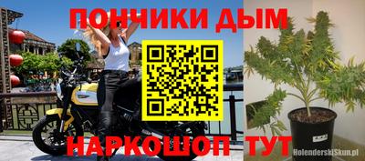 сатива Жуковский